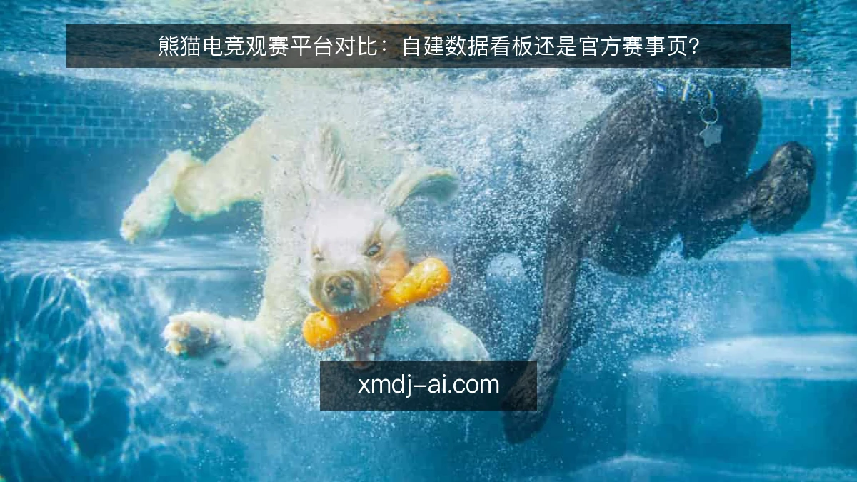 熊猫电竞观赛平台对比:自建数据看板还是官方赛事页?