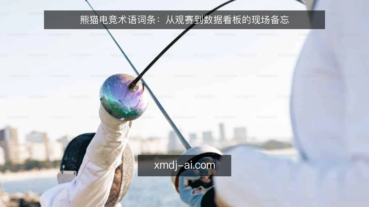 熊猫电竞术语词条:从观赛到数据看板的现场备忘