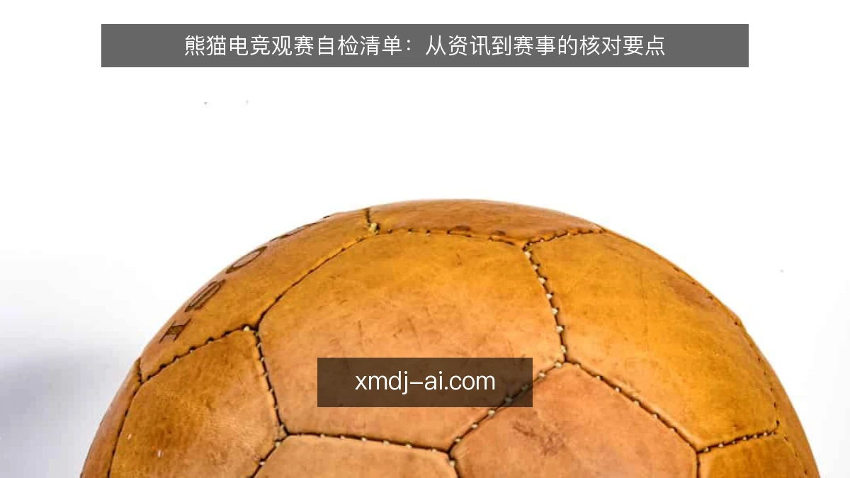 熊猫电竞观赛自检清单：从资讯到赛事的核对要点