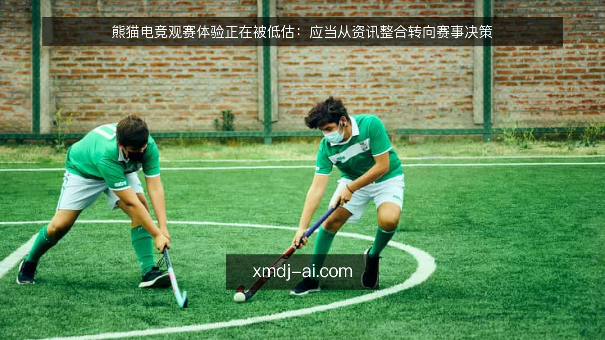 熊猫电竞观赛体验正在被低估:应当从资讯整合转向赛事决策