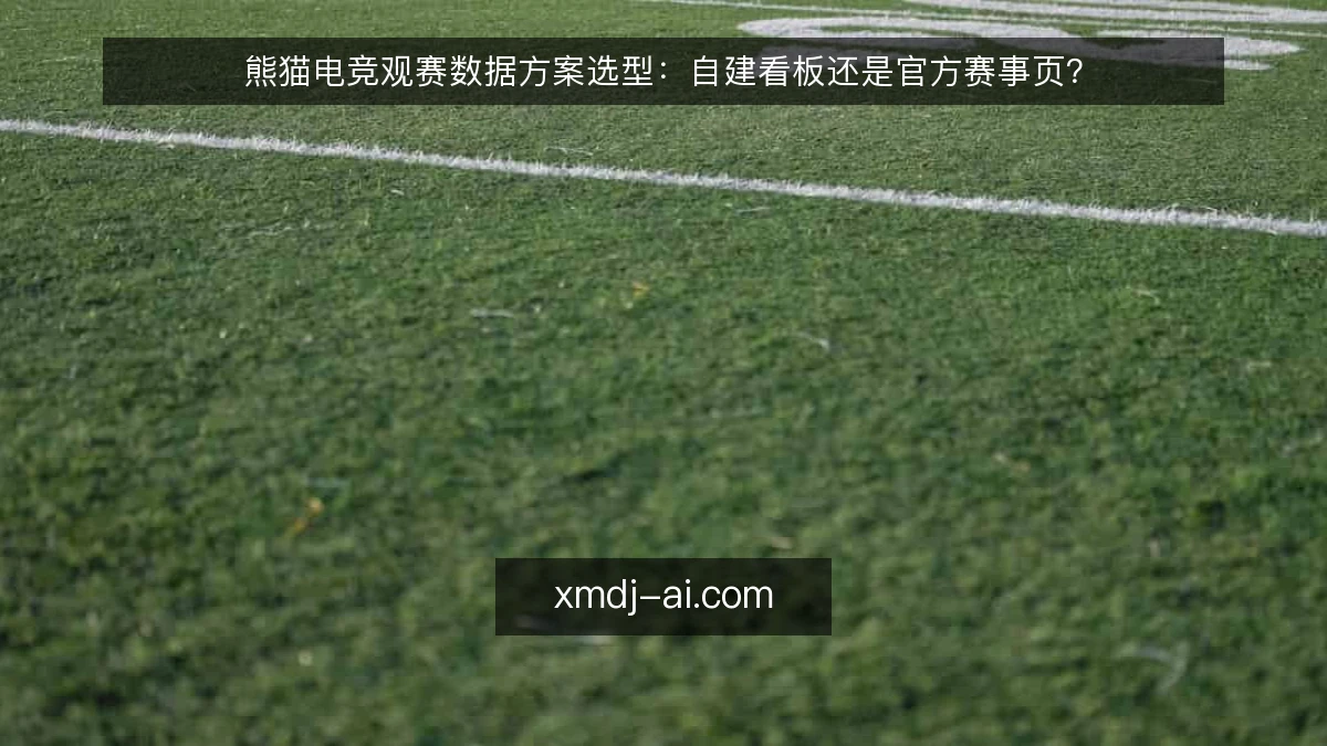 熊猫电竞观赛数据方案选型:自建看板还是官方赛事页?