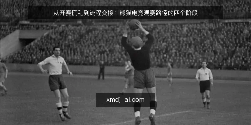 从开赛慌乱到流程交接:熊猫电竞观赛路径的四个阶段 — 开赛前的慌乱从哪里来 配图