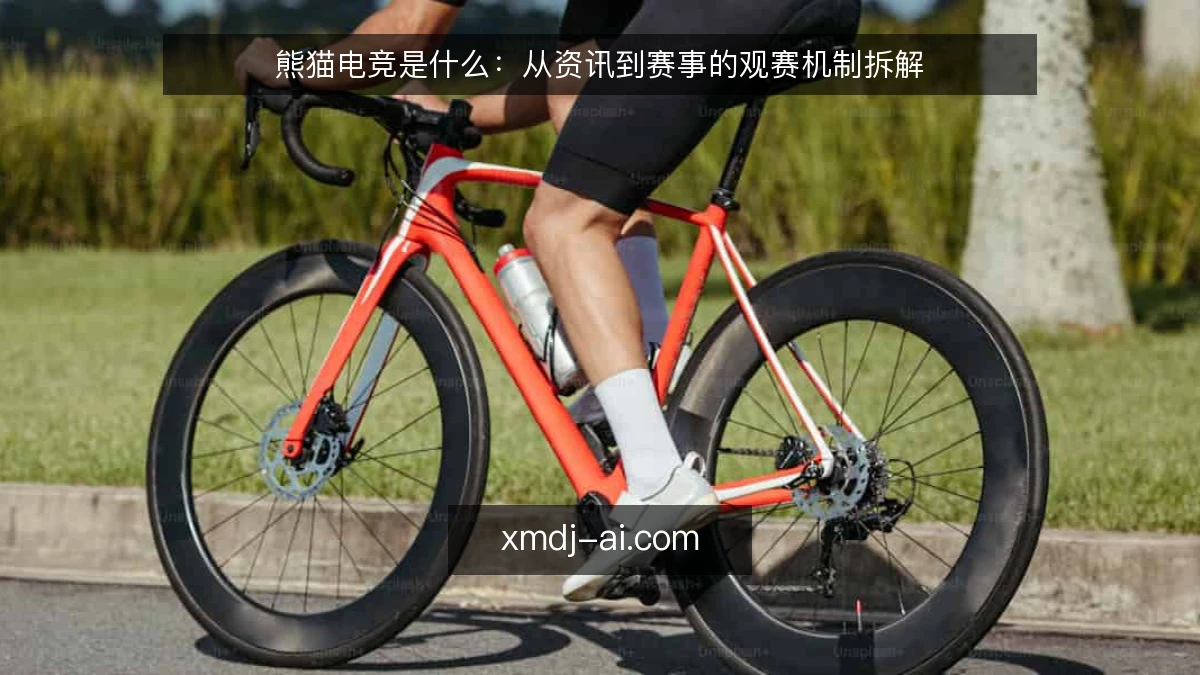 熊猫电竞是什么:从资讯到赛事的观赛机制拆解