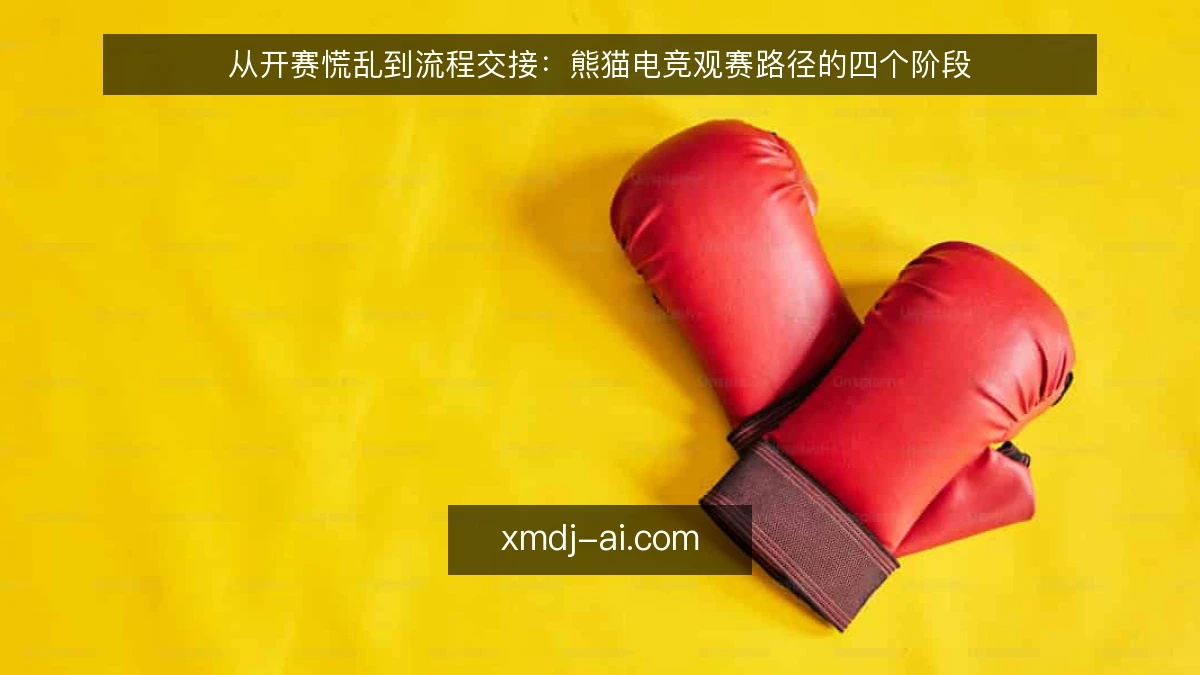 从开赛慌乱到流程交接:熊猫电竞观赛路径的四个阶段