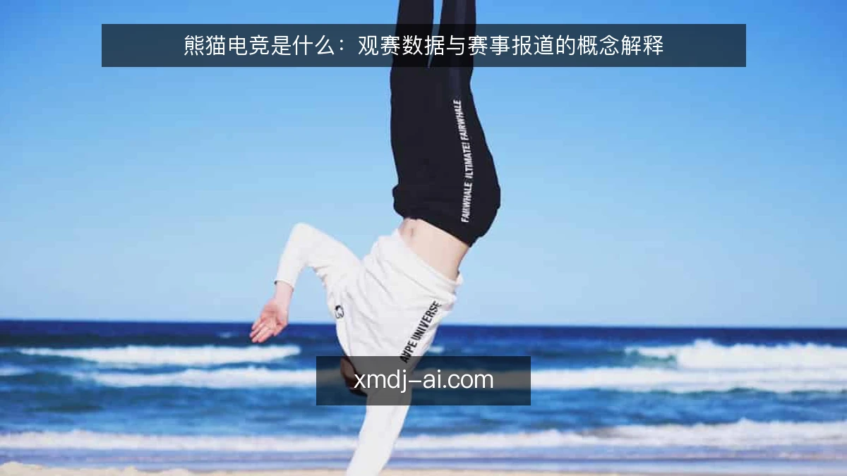 熊猫电竞是什么:观赛数据与赛事报道的概念解释