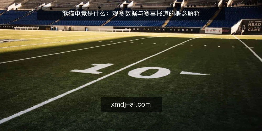 熊猫电竞是什么:观赛数据与赛事报道的概念解释 — 熊猫电竞是什么:先厘清概念边界 配图