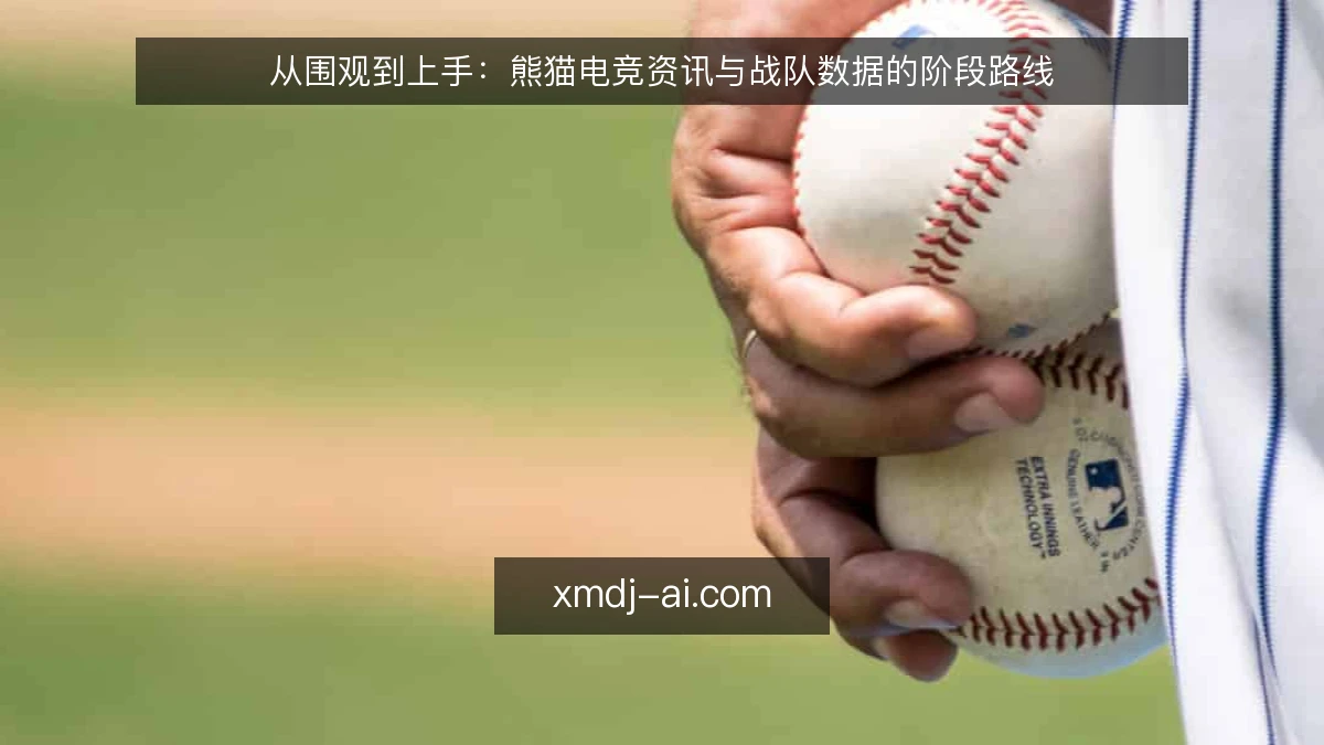 从围观到上手:熊猫电竞资讯与战队数据的阶段路线
