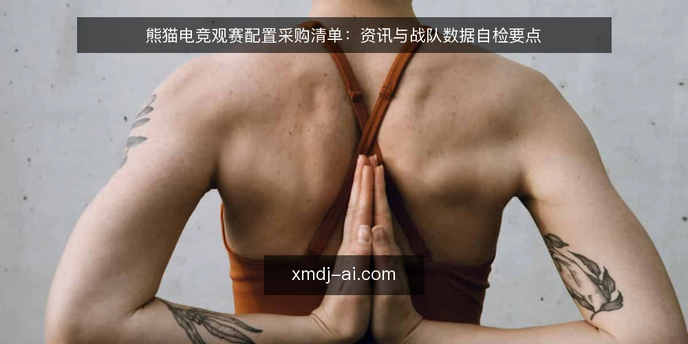 熊猫电竞观赛配置采购清单：资讯与战队数据自检要点 — 先定义你要的观赛需求 配图