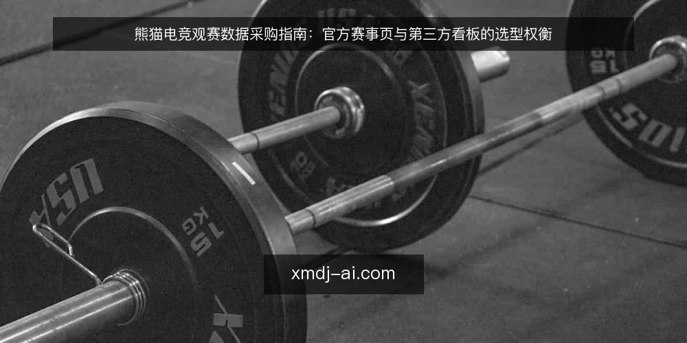 熊猫电竞观赛数据采购指南:官方赛事页与第三方看板的选型权衡 — 观赛现场的真实摩擦 配图