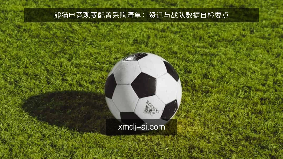 熊猫电竞观赛配置采购清单：资讯与战队数据自检要点